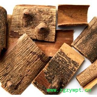 灵吉药业  海桐皮 钉桐皮  鼓桐皮  刺桐皮  地道药材  货真价实  批发各种规格中药材 花茶 矿石 野生冷背中药材图2