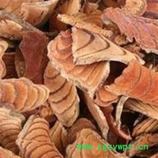 京辉药业 正品 鸡血藤  优质 保含量图2