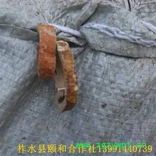 桑白皮 桑皮片 产地直销 陕西省商洛市柞水县 库存 500公斤可售图4