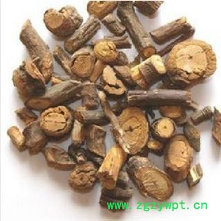 石楠藤 统 产地 广西壮族自治区贵港市市辖区图2