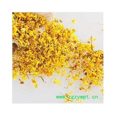 桂花 统 产地 安徽省黄山市市辖区