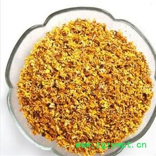 桂花 统 产地 安徽省黄山市市辖区图3