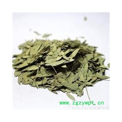 泻叶 统 产地 广西壮族自治区梧州市市辖