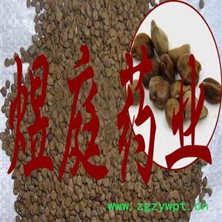 煜庭药业 望江南图4