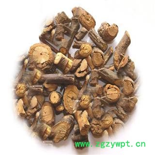 煜庭药业 五香血藤  大血藤、紫金藤、钻骨风、小血藤、岩枇杷、内风消、野五味子藤图4