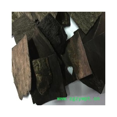 杜仲 炒杜仲  统 产地 四川省  比质量我们行