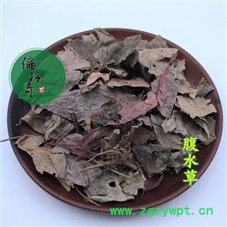 偏冷奇中药材 腹水草、两头爬、两头粘 、钓竿藤、爬岩红图2