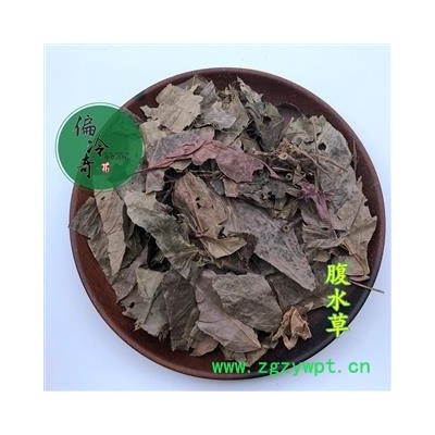 偏冷奇中药材 腹水草、两头爬、两头粘 、钓竿藤、爬岩红