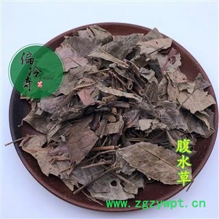 偏冷奇中药材 腹水草、两头爬、两头粘 、钓竿藤、爬岩红图3