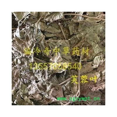 芙蓉叶 木芙蓉 山芙蓉 胡李花 三变花  统货 产地 广西壮族自治区桂林市