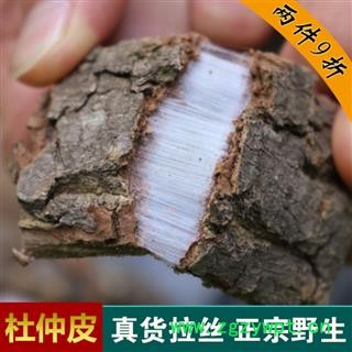 杜仲皮野生老树厚皮1000g秦岭源产地杜仲