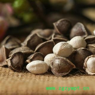 野生辣木籽 特级辣木子 辣木仔天然瑞芝堂产地直销1000克图4