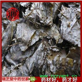 毛冬青叶统货  中药材 药典正品瑞芝堂产地直销1000克图3