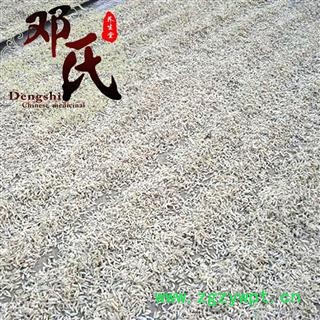 【满包邮】川麦冬三级1公斤起批散装批发精选无添加个大饱满产地四川省绵阳市三台县 邓氏中药行图4