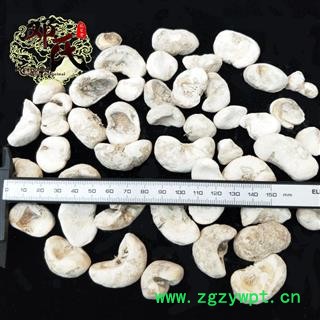 【满包邮】贝母 灰贝母统个 优选品质 产地直供 邓氏中药批发图2