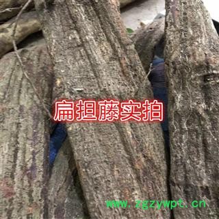 新鲜扁担藤 野生扁藤 过江扁龙 扁骨风 腰带藤 羊带风 整根生湿品批发图3