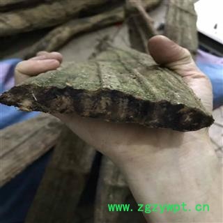 新鲜扁担藤 野生扁藤 过江扁龙 扁骨风 腰带藤 羊带风 整根生湿品批发图2