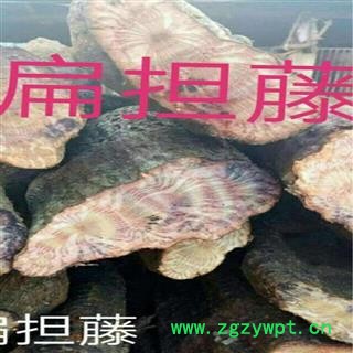 新鲜扁担藤 野生扁藤 过江扁龙 扁骨风 腰带藤 羊带风 整根生湿品批发