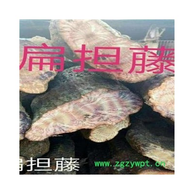新鲜扁担藤 野生扁藤 过江扁龙 扁骨风 腰带藤 羊带风 整根生湿品批发