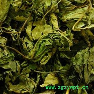 灵吉药业 桑叶  批发各种规格名贵药材 中草药 花茶 人参 冷背珍稀野生药材图2