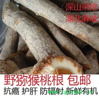 新鲜猕猴桃树根 藤梨根 雄猕猴桃根可配石苇选货中药材