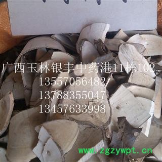 枸骨叶 统货 产地 广西壮族自治区玉林市市辖区