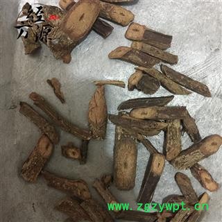 四方藤 翼枝白粉藤图2