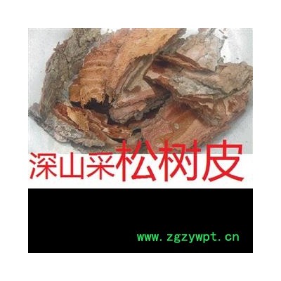 松树皮深山现剥 选 产地 湖北省黄冈市麻城市另有松枝、松树根