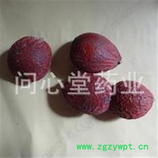 冷背品种 铁树果 凤凰蛋 产地直销 同仁堂品质 支持验货图2