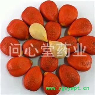 冷背品种 铁树果 凤凰蛋 产地直销 同仁堂品质 支持验货