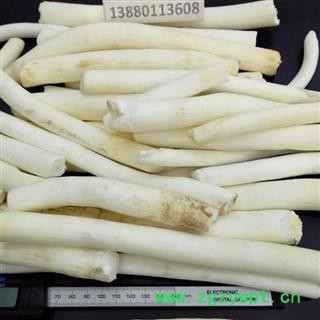 通草 大通草 条子 统货 产地 广东省 邓氏图4