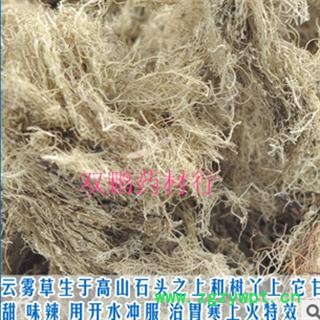 云雾草 统 产地 广西壮族自治区玉林市市图3