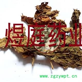 煜庭药业 白背叶 白鹤叶 白面风 正品图4