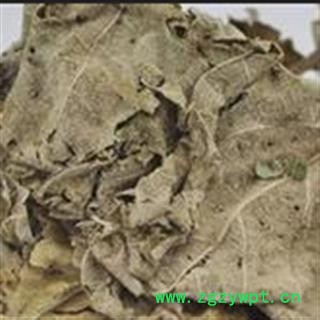 煜庭药业 白背叶 白鹤叶 白面风 正品图2