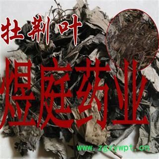 煜庭药业 牡荆叶 正品图2