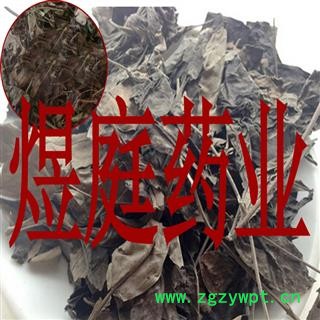 煜庭药业 牡荆叶 正品图3
