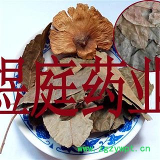 煜庭药业 青钱柳叶图2