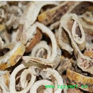 桑白皮 统 产地 安徽省亳州市谯城区图2