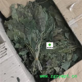 人参叶 人参叶 颜色好 正品 供应各种中药材 产地 吉林省图3