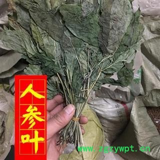 人参叶 人参叶 颜色好 正品 供应各种中药材 产地 吉林省图2