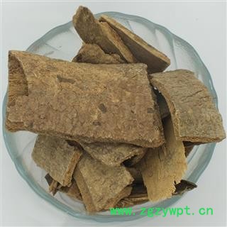 煜庭药业 鸭脚木皮 正品 返现进行中图3