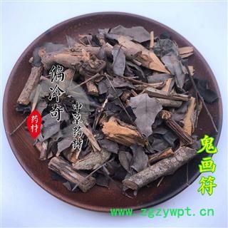 黑面神 四季青 鬼画符 黑面叶 山夜兰 统 产地 广西壮族自治区图3