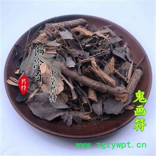 黑面神 四季青 鬼画符 黑面叶 山夜兰 统 产地 广西壮族自治区图2