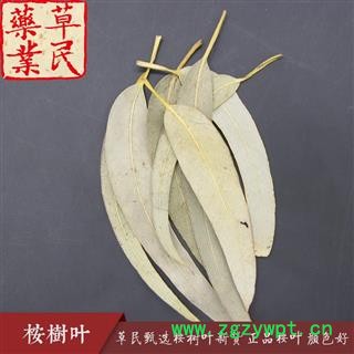 草民甄选桉树叶新货 正品桉叶 实物如图 专营冷备货量大从优图3