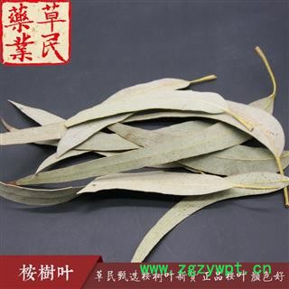 草民甄选桉树叶新货 正品桉叶 实物如图 专营冷备货量大从优图2