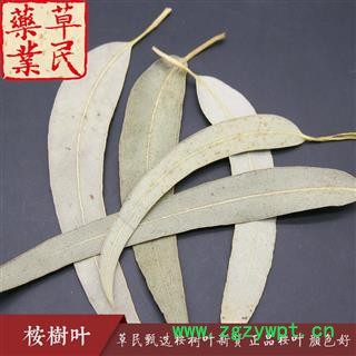 草民甄选桉树叶新货 正品桉叶 实物如图 专营冷备货量大从优图4