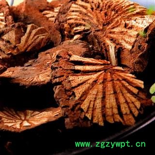 大血藤 统片 小片 产地 湖北省神农架林区图2