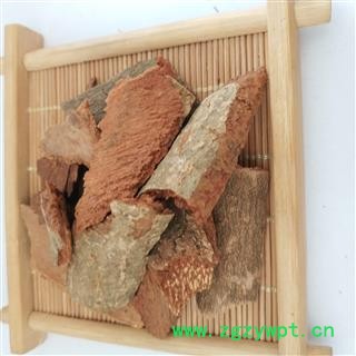 地枫皮 追地风【国舜堂】 规格齐全 量大从优 中药材批发供应【地枫皮】图3