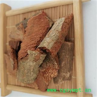 地枫皮 追地风【国舜堂】 规格齐全 量大从优 中药材批发供应【地枫皮】图2