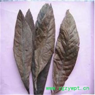 枇杷叶 统货 产地 浙江省湖州市德清县图4